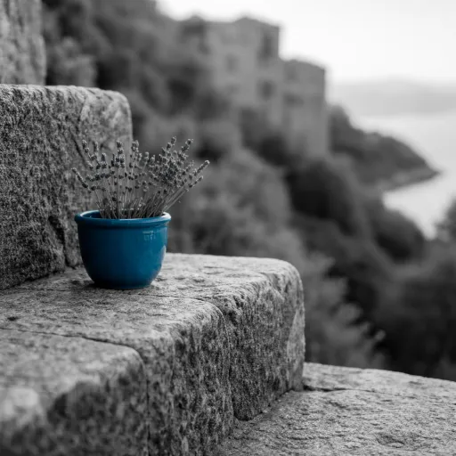 Une semaine en Corse du Nord : itinéraire côtier et villages perchés en 7 jours