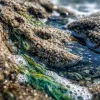 Idées d’activités gratuites en Corse : le meilleur de l’île de Beauté sans dépenser