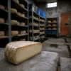 Fromagers du Niolo : la route des caves à tomme de Calacuccia à Albertacce