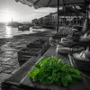 Le marché de Sainte Lucie de Porto-Vecchio : un rendez-vous gourmand au cœur du littoral corse