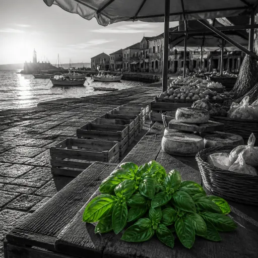 Le marché de Sainte Lucie de Porto-Vecchio : un rendez-vous gourmand au cœur du littoral corse