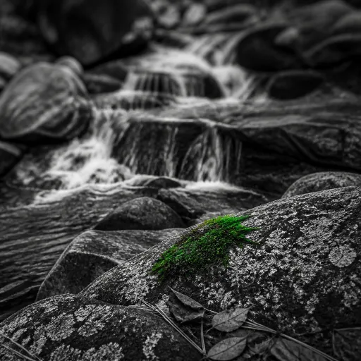 La cascade des Anglais à Vizzavona : une randonnée rafraîchissante au cœur de la forêt corse